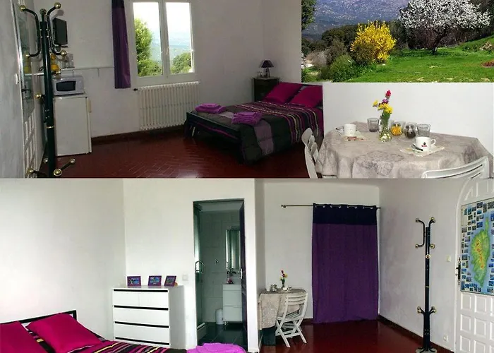 Konukevi A 2 Minutes Riviere 25 Minutes Ajaccio Plages Linge Et Parking Inclus *